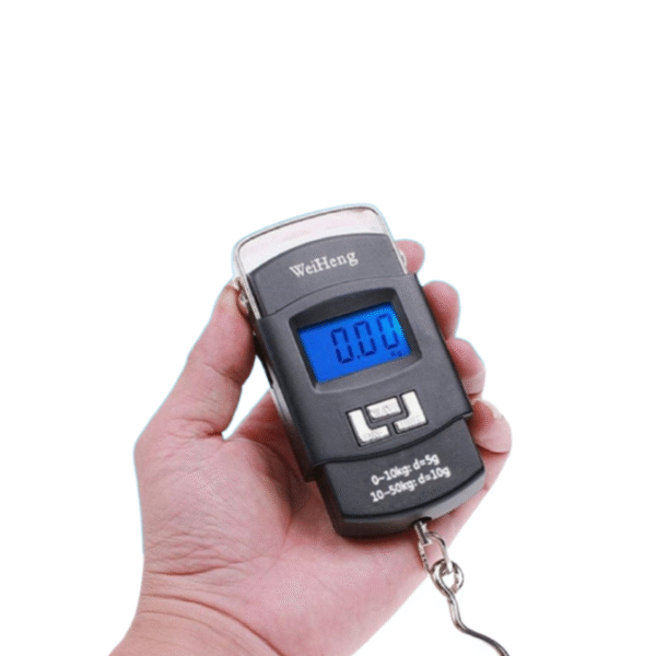Portable scale 10g to 50kg LCD display luggage weighting scale