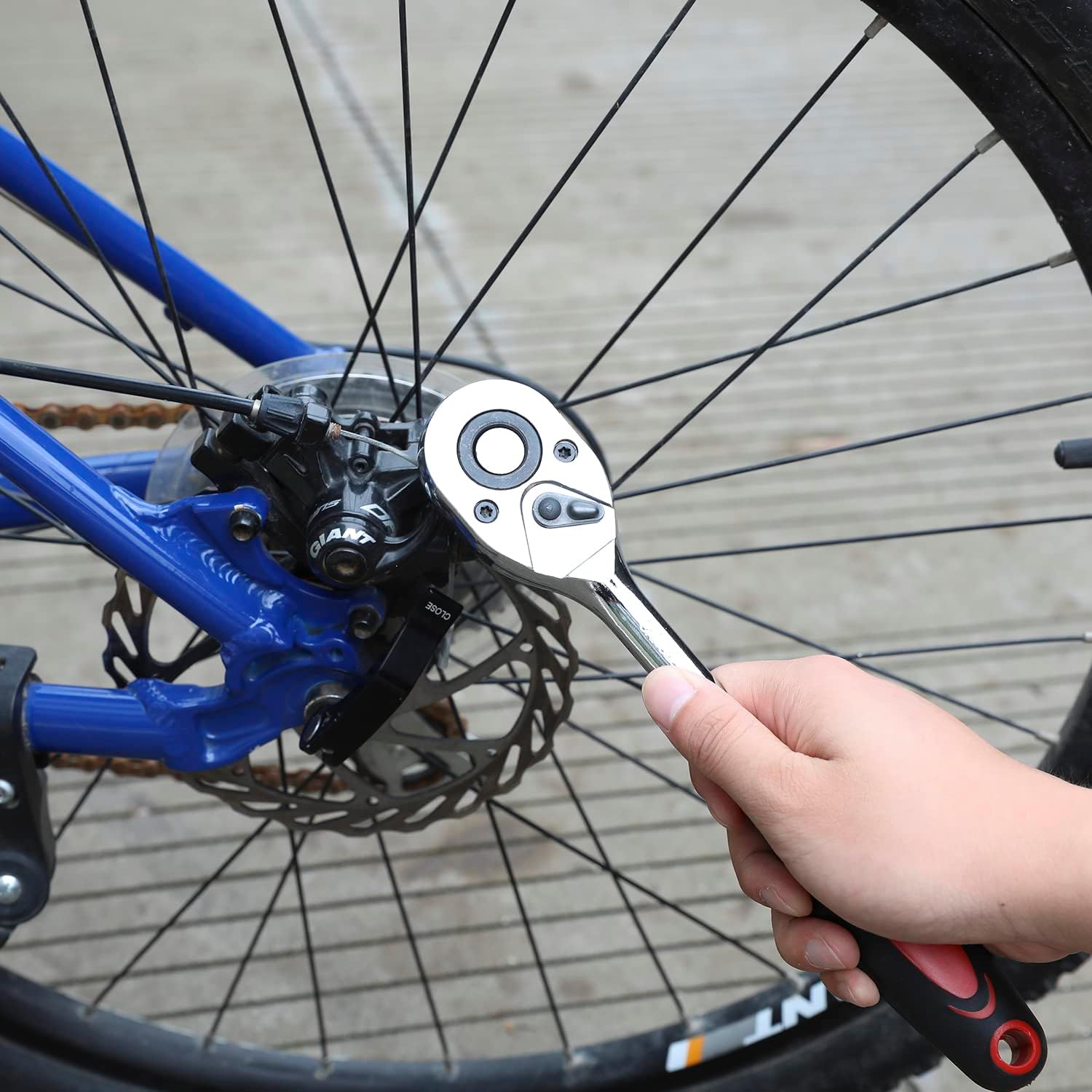 71b2MLekYnL._AC_SL1500_