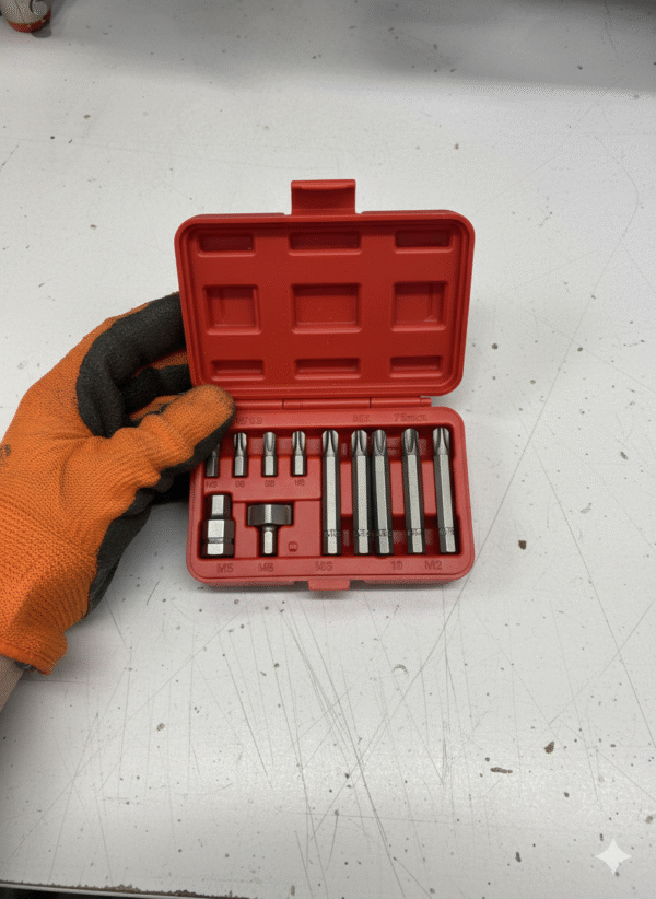 11PC Spline Bit Socket Set (XZN) M5-M12 for European Cars