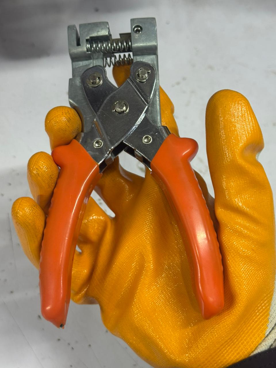 WhatsApp Image 2025-10-27 at 8.32.21 PM